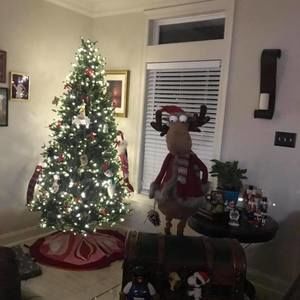 Meet your Posher, Janis